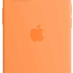 Collection image for: iPhone 13 Hüllen